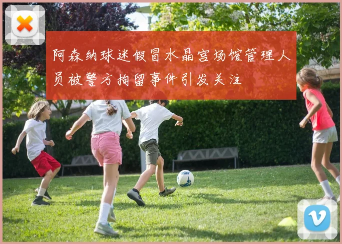 阿森纳球迷假冒水晶宫场馆管理人员被警方拘留事件引发关注
